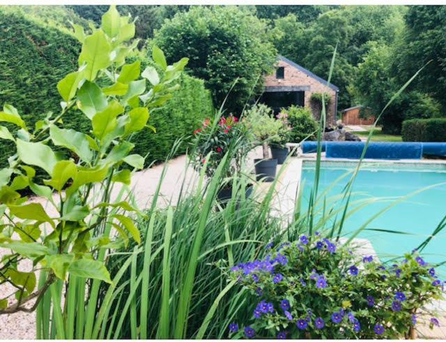La Mosane Bed & Breakfast Profondeville Luaran gambar